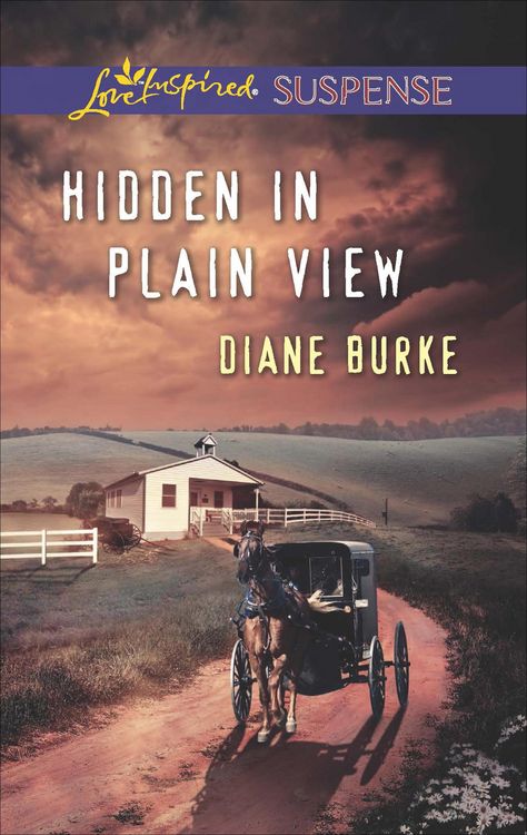 Produktbild: Hidden in Plain View