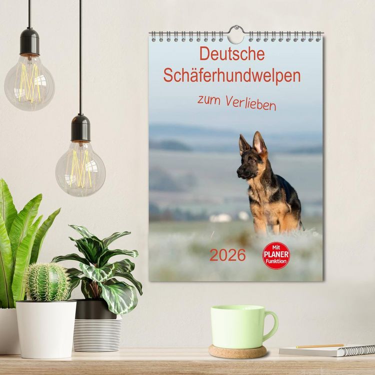 Produktbild: Deutsche Sch&auml;ferhundwelpen zum Verlieben (Wandkalender 2026 DIN A4 hoch), CALVENDO Monatskalender