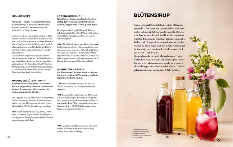 Produktbild: Wildkr&auml;uter Top 10