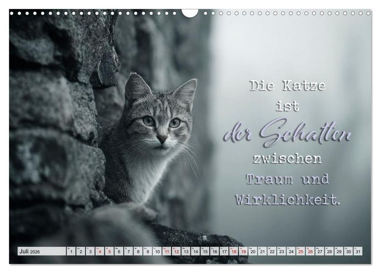 Produktbild: Katzenpoesie - Herzber&uuml;hrende Verse (Wandkalender 2026 DIN A3 quer), CALVENDO Monatskalender
