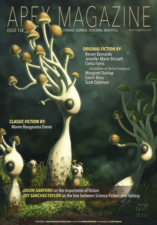 Produktbild: Apex Magazine Issue 134