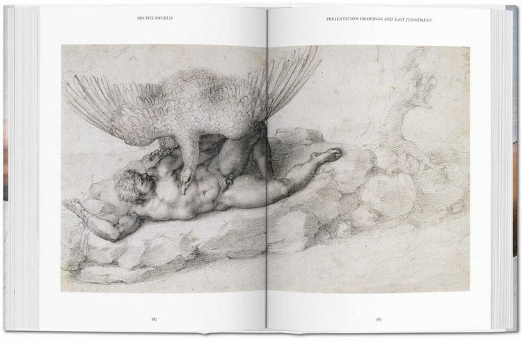 Produktbild: Michelangelo