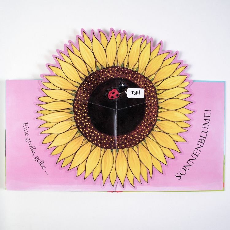 Produktbild: Sam pflanzt Sonnenblumen