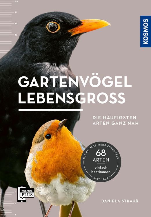 Produktbild: Gartenv&ouml;gel lebensgro&szlig;