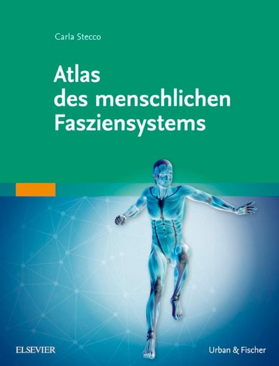 Produktbild: Atlas des menschlichen Fasziensystems