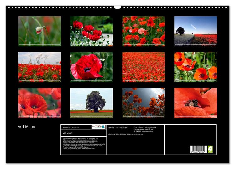Produktbild: Voll Mohn (Wandkalender 2026 DIN A2 quer), CALVENDO Monatskalender