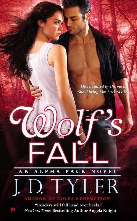 Produktbild: Wolf's Fall
