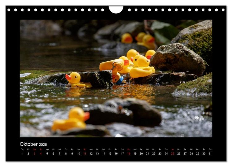 Produktbild: Enten-Rennen (Wandkalender 2026 DIN A4 quer), CALVENDO Monatskalender