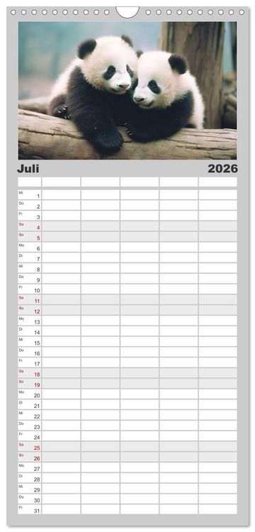 Produktbild: Familienplaner 2026 - Unzertennlich mit 5 Spalten (Wandkalender, 21 x 45 cm) CALVENDO