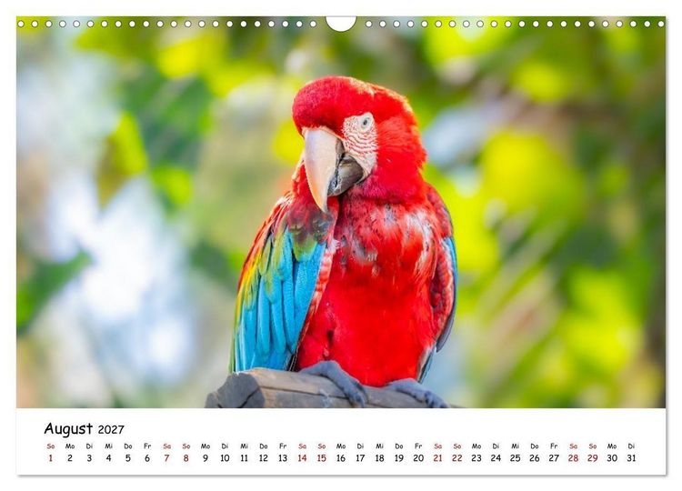 Produktbild: Aras und bunte Sittiche: Exotische Papageien-Portr&auml;ts (Wandkalender 2027 DIN A3 quer), CALVENDO Monatskalender