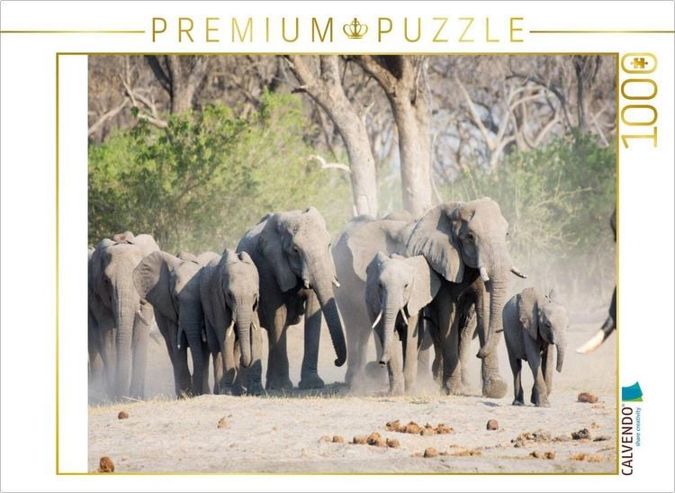 Produktbild: CALVENDO Puzzle Auf dem Weg zum Khwai River, Botswana | 1000 Teile Lege-Gr&ouml;&szlig;e 64x48cm Foto-Puzzle f&uuml;r gl&uuml;ckliche Stunden