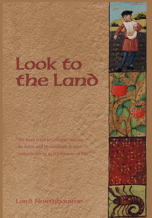 Produktbild: Look to the Land