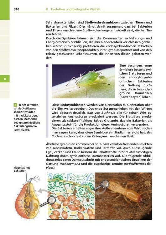 Produktbild: Basiswissen Schule &ndash; Biologie Abi