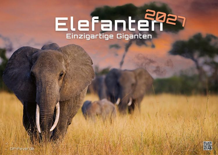 Produktbild: Elefanten - einzigartige Giganten - 2027 - Kalender DIN A3