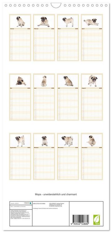 Produktbild: Familienplaner 2026 - Mops - unwiderstehlich und charmant mit 5 Spalten (Wandkalender, 21 x 45 cm) CALVENDO