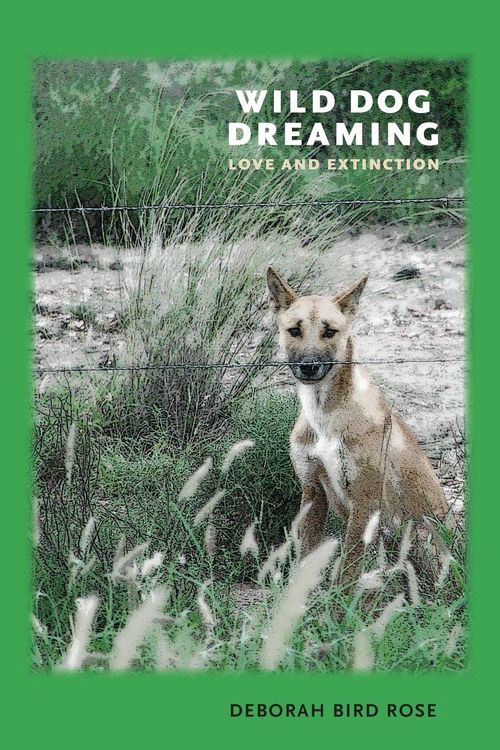 Produktbild: Wild Dog Dreaming