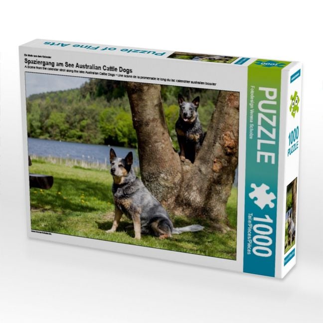 Produktbild: CALVENDO Puzzle Ein Motiv aus dem Kalender Spaziergang am See Australian Cattle Dogs | 1000 Teile Lege-Gr&ouml;&szlig;e 64x48cm Foto-Puzzle f&uuml;r gl&uuml;ckliche Stunden