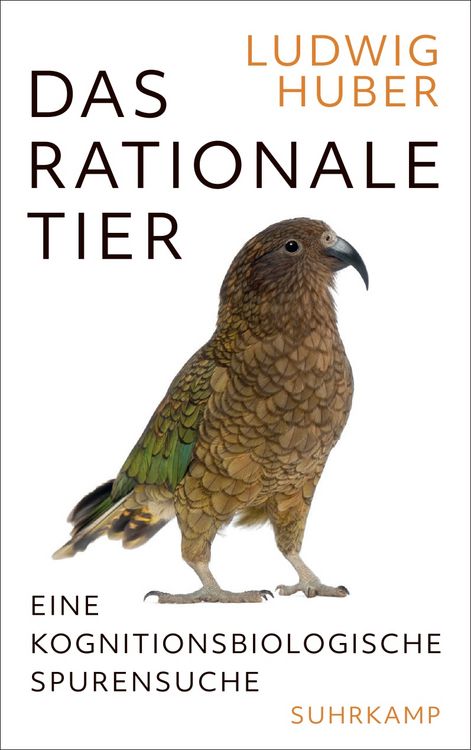 Produktbild: Das rationale Tier
