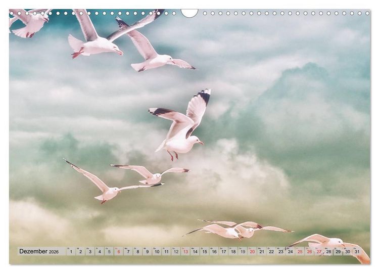 Produktbild: AMRUM Art (Wandkalender 2026 DIN A3 quer), CALVENDO Monatskalender