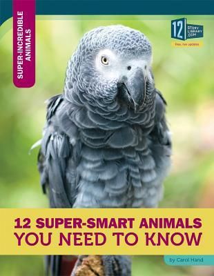 Produktbild: 12 Super-Smart Animals You Need to Know