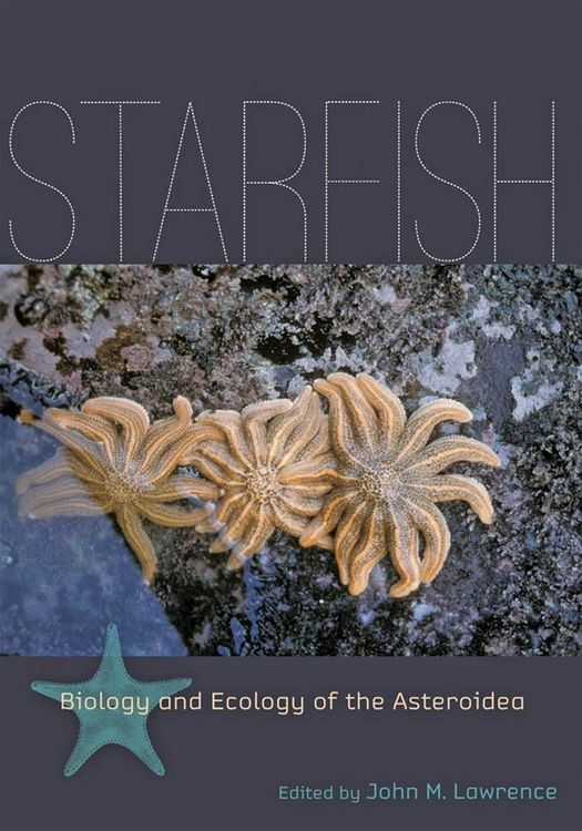 Produktbild: Starfish