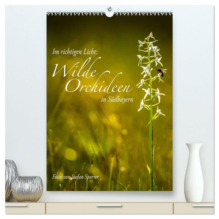 Produktbild: Im richtigen Licht: Wilde Orchideen in S&uuml;dbayern (hochwertiger Premium Wandkalender 2027 DIN A2 hoch), Kunstdruck in Hochglanz