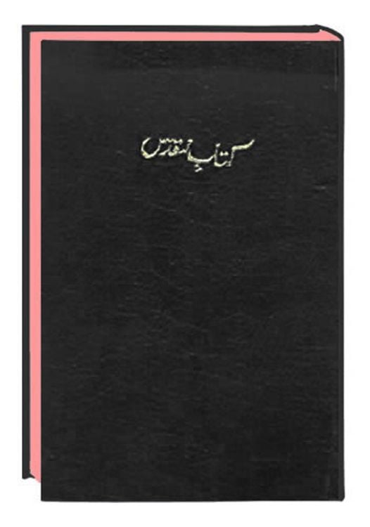 Produktbild: The Holy Bible Urdu