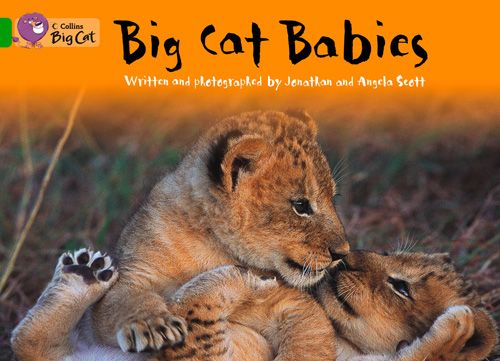 Produktbild: Collins Big Cat Big Cat Babies