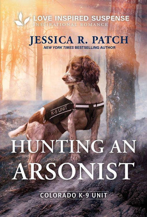 Produktbild: Hunting an Arsonist