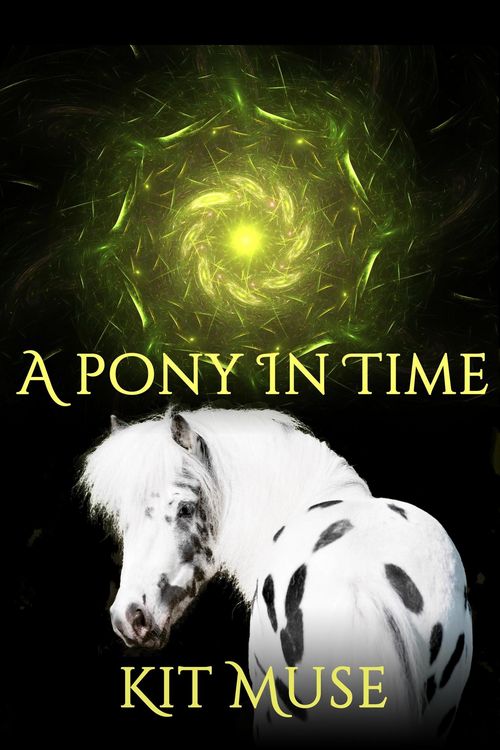 Produktbild: A Pony In Time
