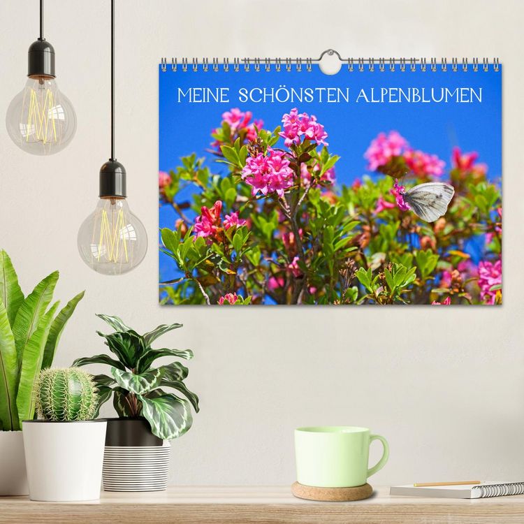 Produktbild: Meine sch&ouml;nsten Alpenblumen (Wandkalender 2026 DIN A4 quer), CALVENDO Monatskalender