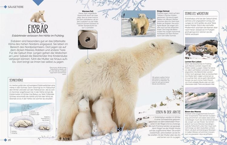 Produktbild: Tierkinder der Wildnis