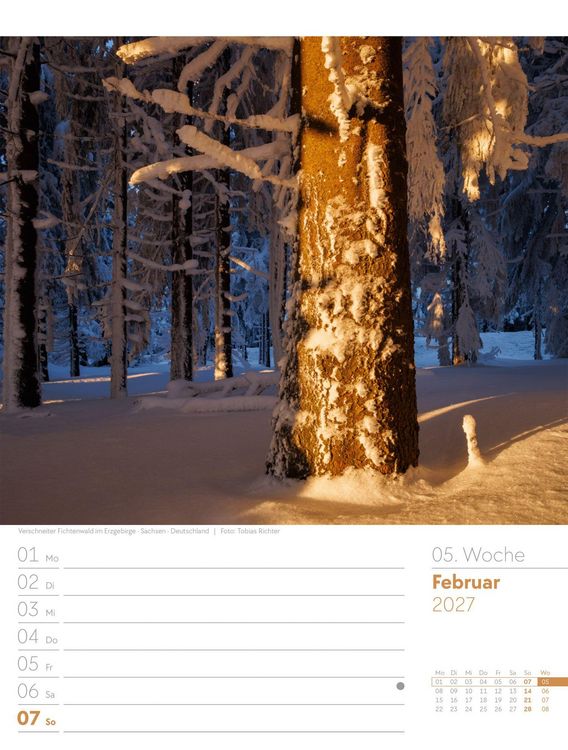 Produktbild: Unser Wald Wochenplaner Kalender 2027