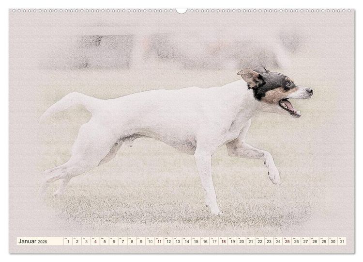 Produktbild: Bodeguero Andaluz 2026 (hochwertiger Premium Wandkalender 2026 DIN A2 quer), Kunstdruck in Hochglanz