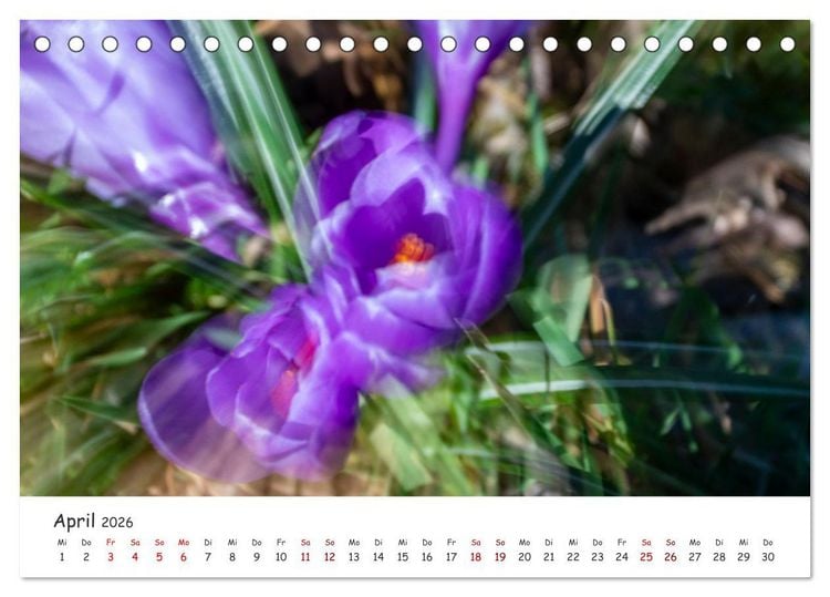 Produktbild: Abstrakte Naturerlebnisse - ICM (Intentional Camera Movement) Fotografie (Tischkalender 2026 DIN A5 quer), CALVENDO Monatskalender