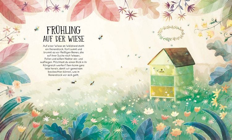 Produktbild: Wie Bienen leben. Matilda erz&auml;hlt.