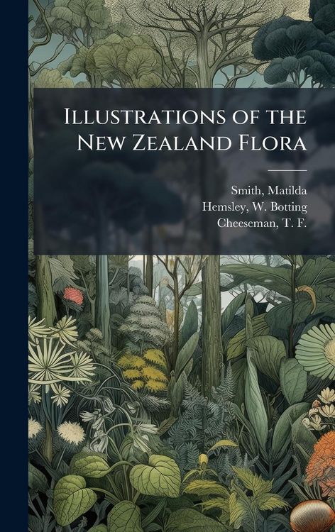Produktbild: Illustrations of the New Zealand Flora