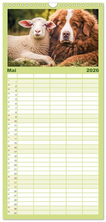 Produktbild: Familienplaner 2026 - Bauernhof-Freunde - Hunde und ihre tierischen Freundschaften mit 5 Spalten (Wandkalender, 21 x 45 cm) CALVENDO