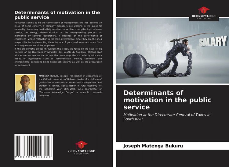 Produktbild: Determinants of motivation in the public service