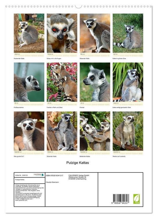 Produktbild: Putzige Kattas (hochwertiger Premium Wandkalender 2026 DIN A2 hoch), Kunstdruck in Hochglanz