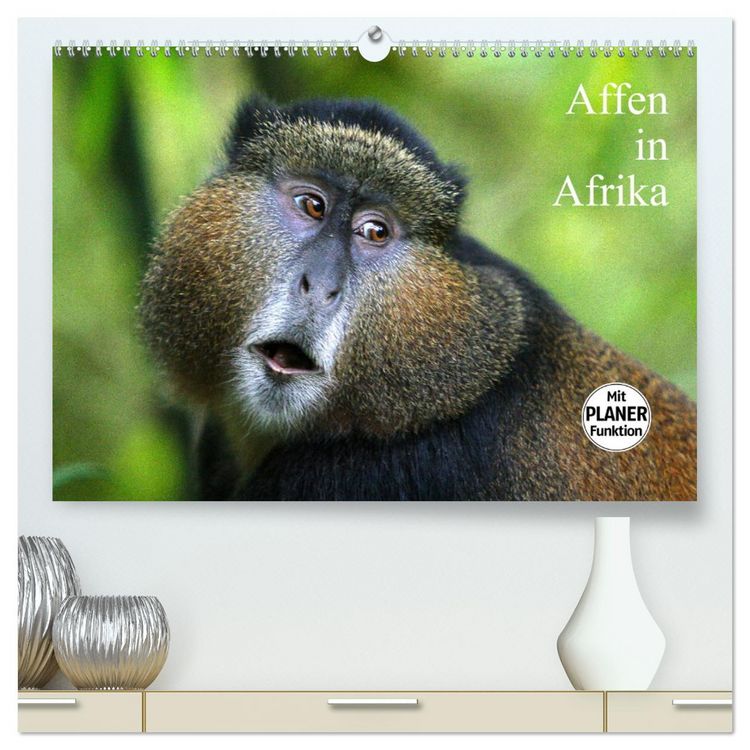 Produktbild: Affen in Afrika (hochwertiger Premium Wandkalender 2026 DIN A2 quer), Kunstdruck in Hochglanz