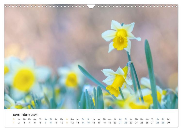 Produktbild: Fleurs po&eacute;tiques (Calendrier mural 2026 DIN A3 vertical), CALVENDO calendrier mensuel