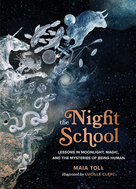 Produktbild: The Night School