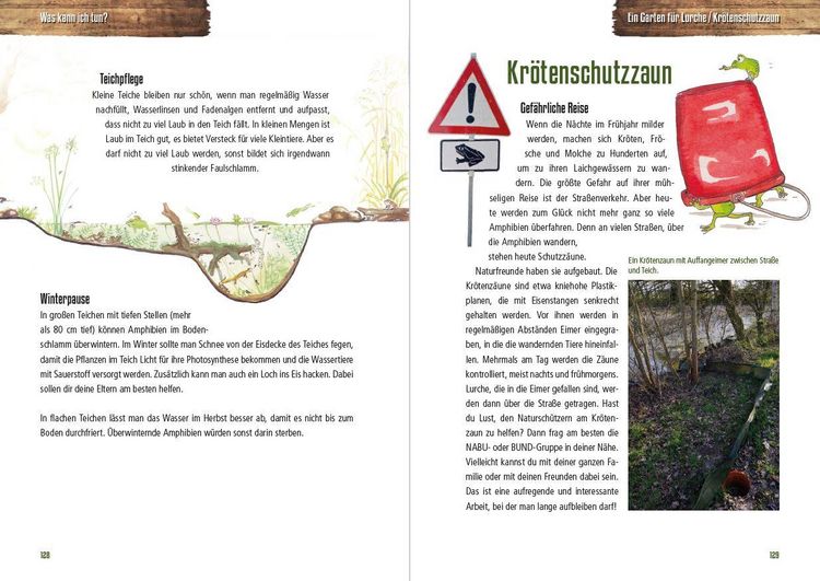 Produktbild: Abenteuer heimische Amphibien