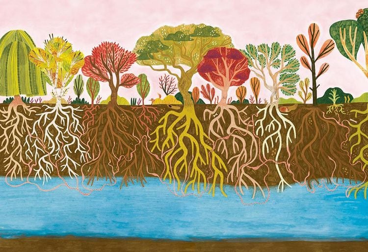 Produktbild: Der kleine Baum und das Wood Wide Web