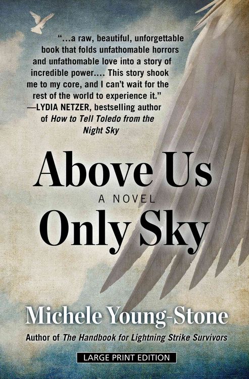 Produktbild: Above Us Only Sky -Lp
