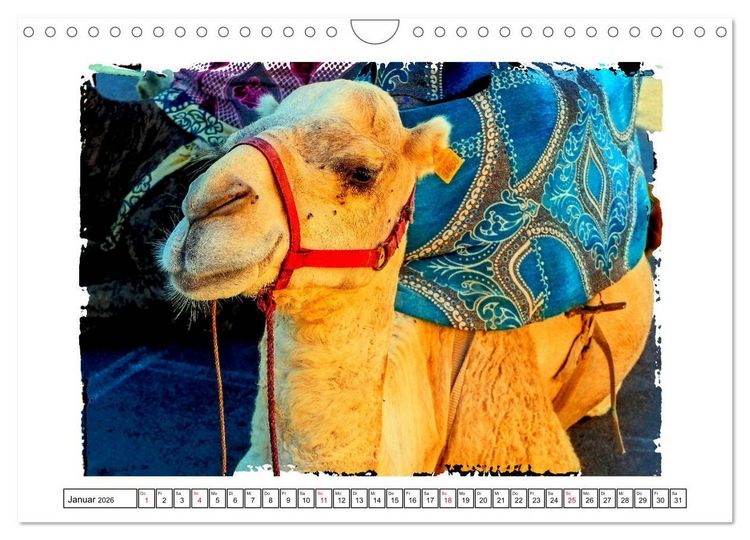 Produktbild: Bezauberndes Marokko (Wandkalender 2026 DIN A4 quer), CALVENDO Monatskalender