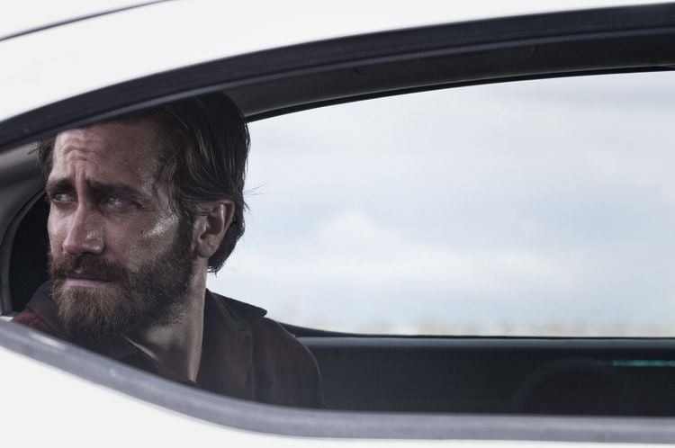 Produktbild: Nocturnal Animals