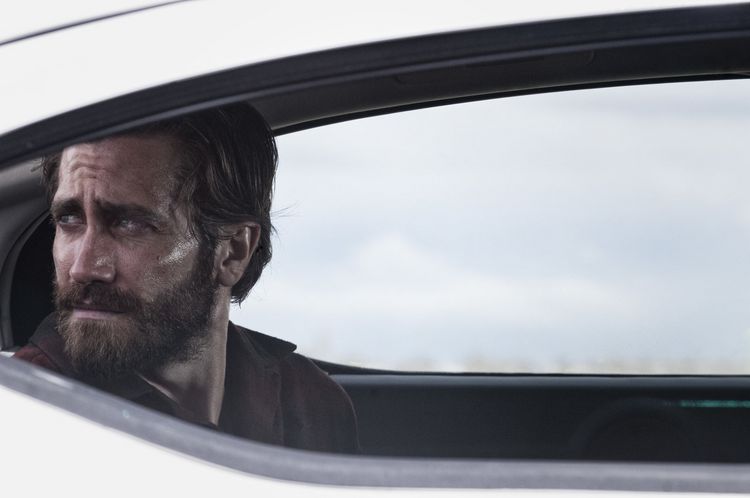 Produktbild: Nocturnal Animals