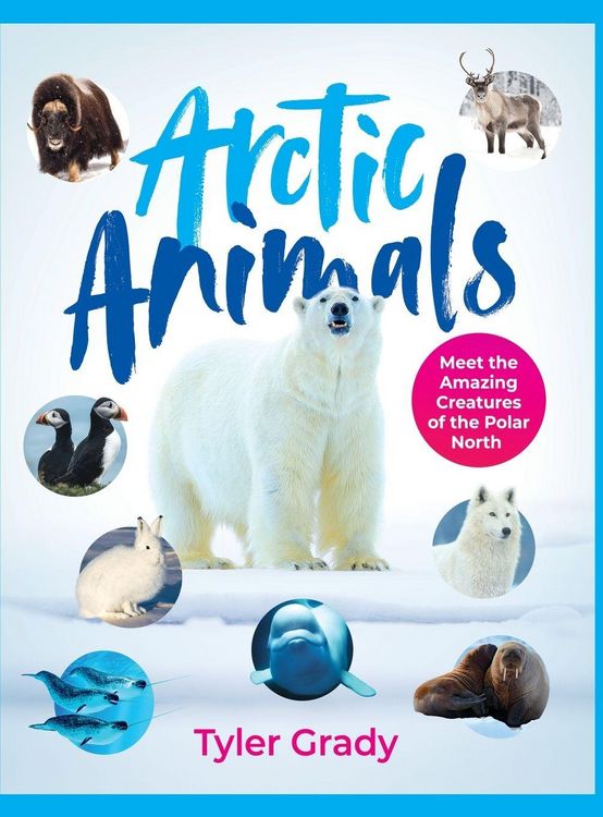 Produktbild: Arctic Animals